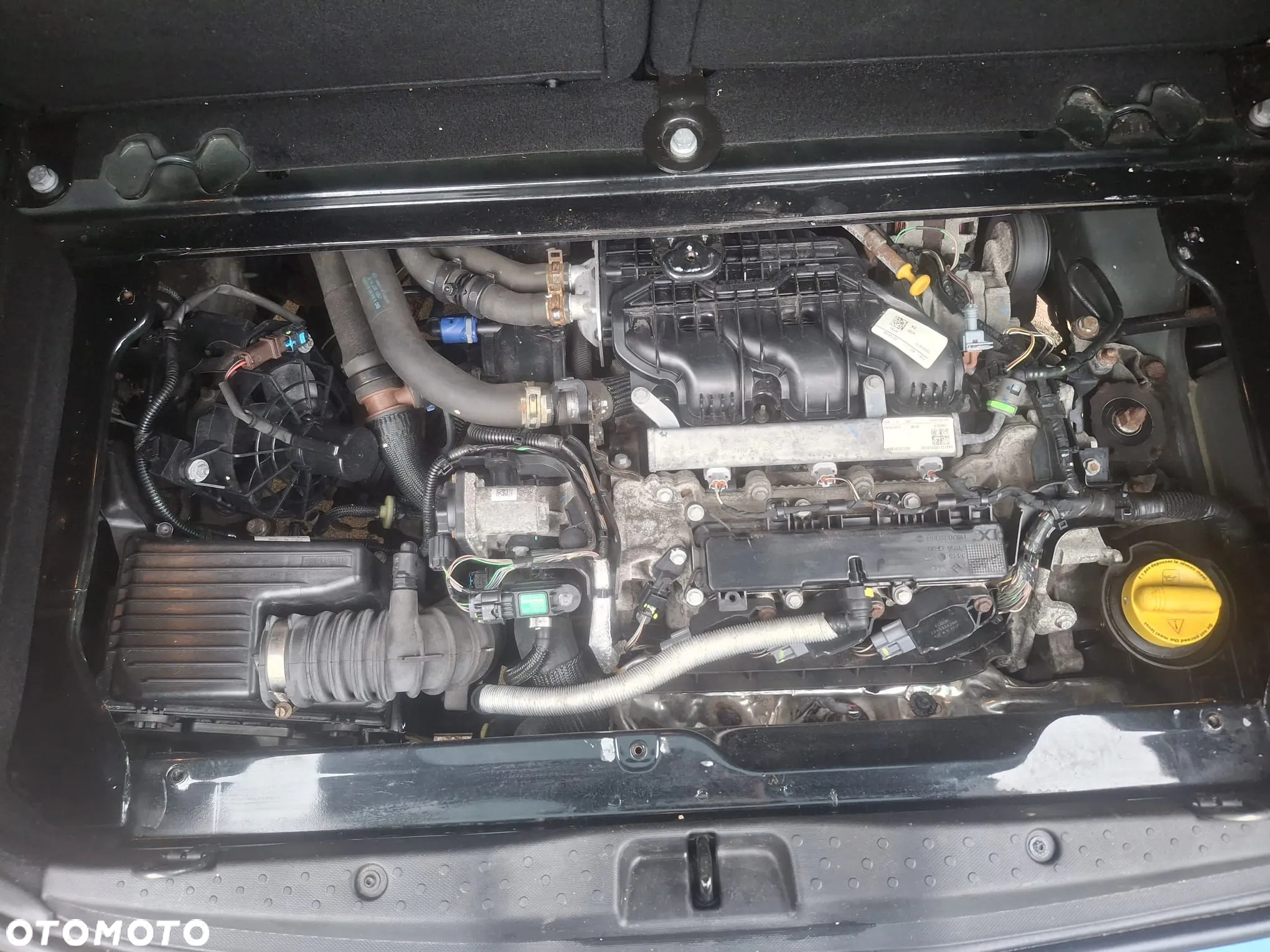 Smart Forfour prime - 25