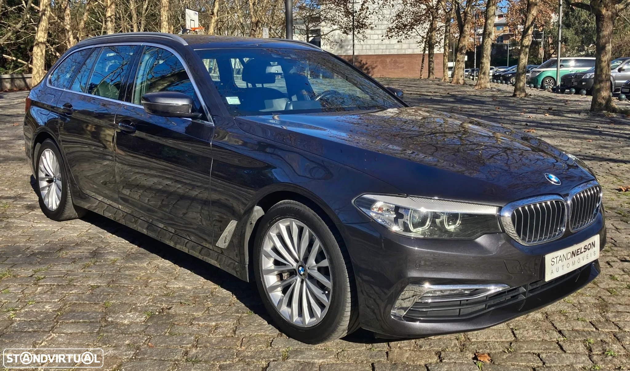 BMW 530 d Line Luxury Auto - 3