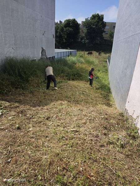 Vendo terreno em Perosinho - Grande imagem: 3/3