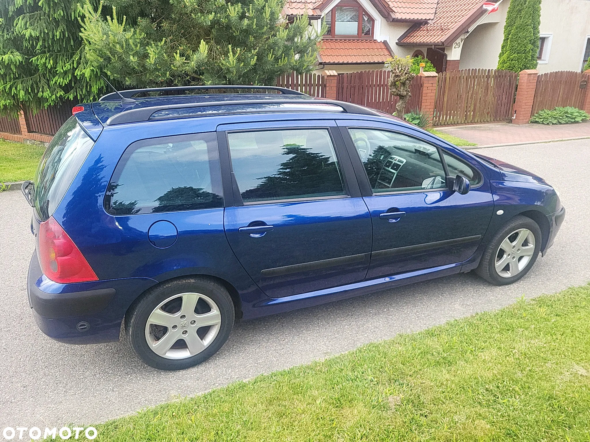 Peugeot 307 2.0 Mistral - 12