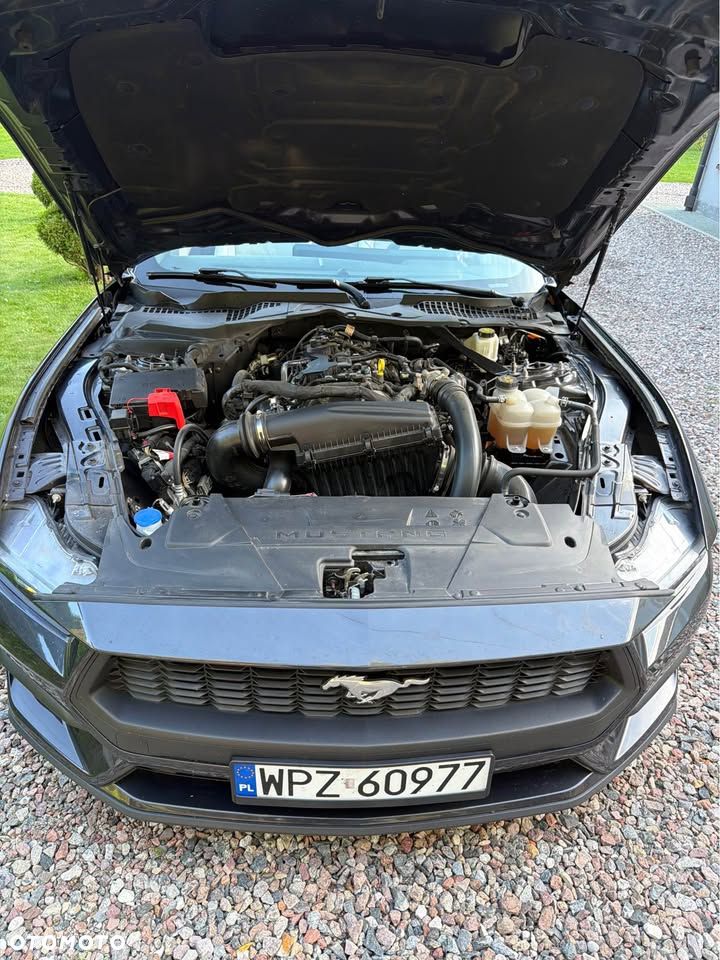 Ford Mustang Cabrio 2.3 Eco Boost - 10