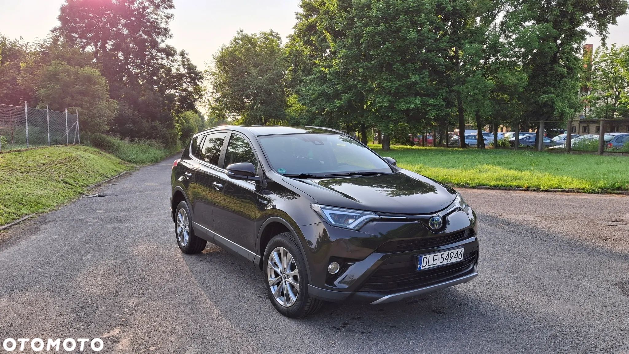 Toyota RAV4 Hybrid Gold 4x2 - 1