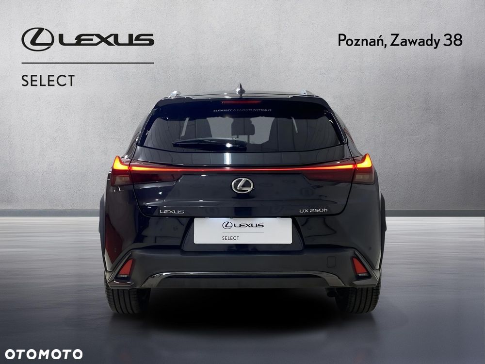 Lexus UX 250h GPF F Sport Design 2WD - 4