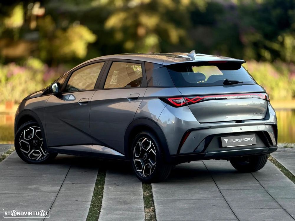 BYD Dolphin - 17