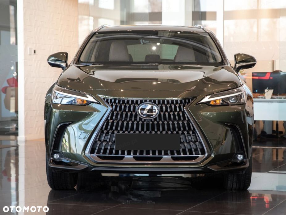 Lexus NX - 8