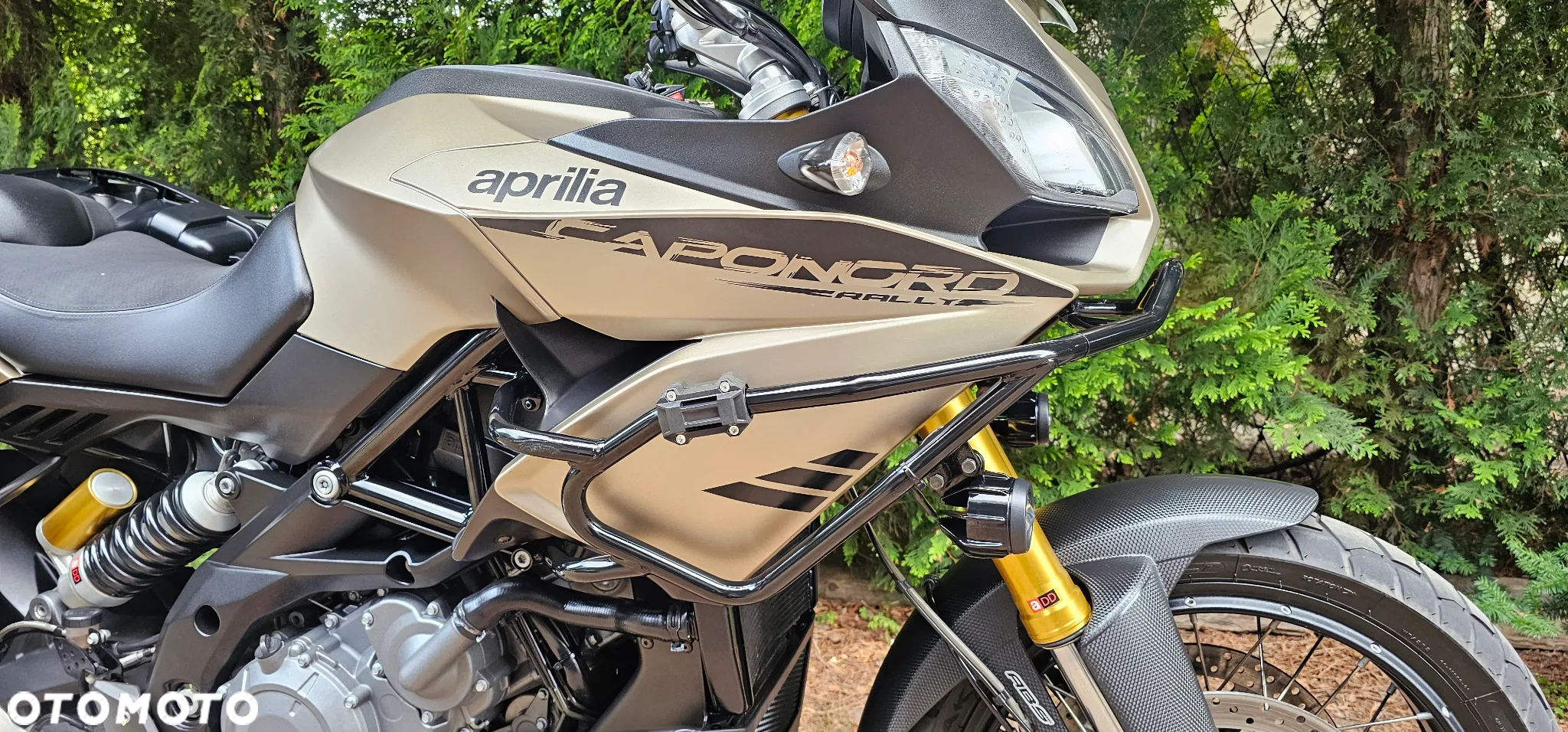 Aprilia Caponord - 8