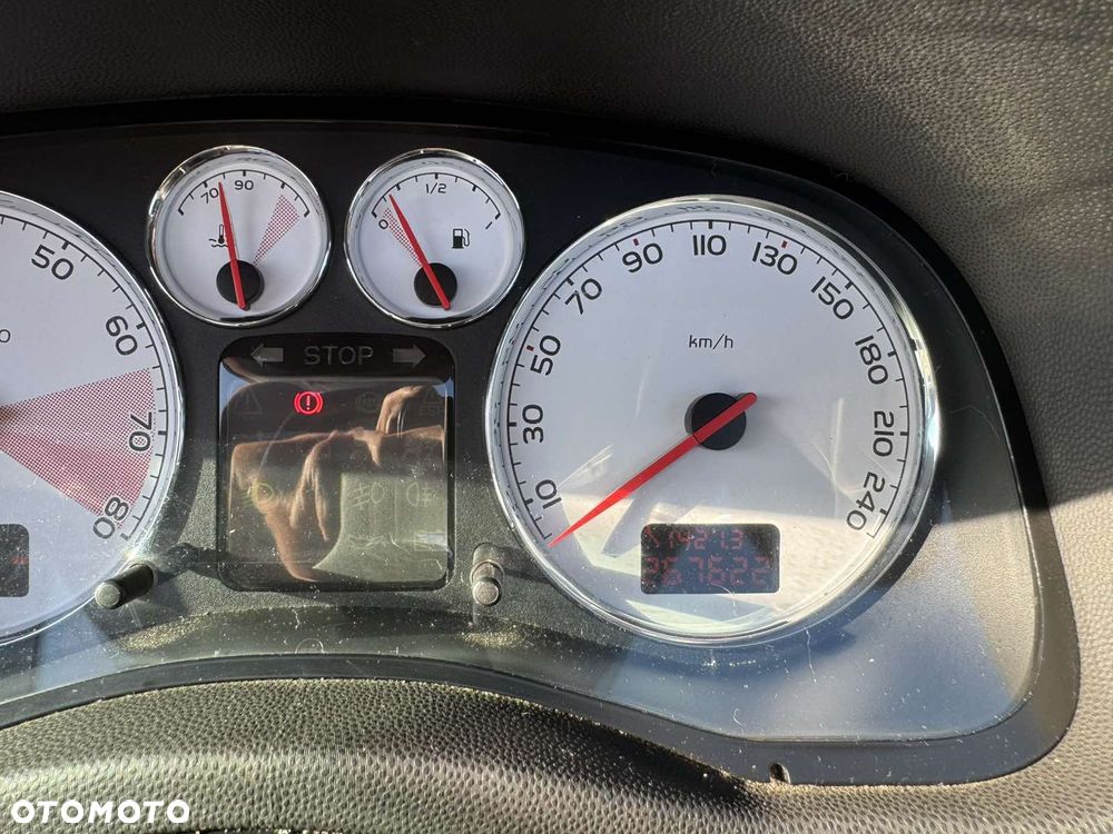 Peugeot 307 - 6