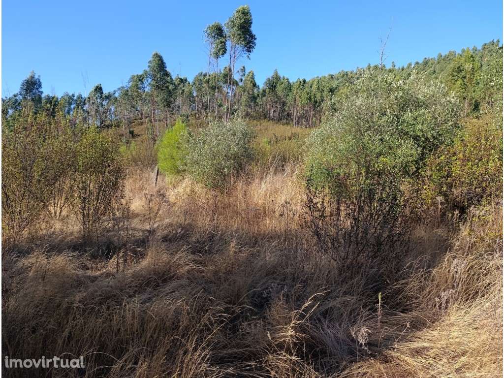 Terreno Rústico - Grande imagem: 5/6