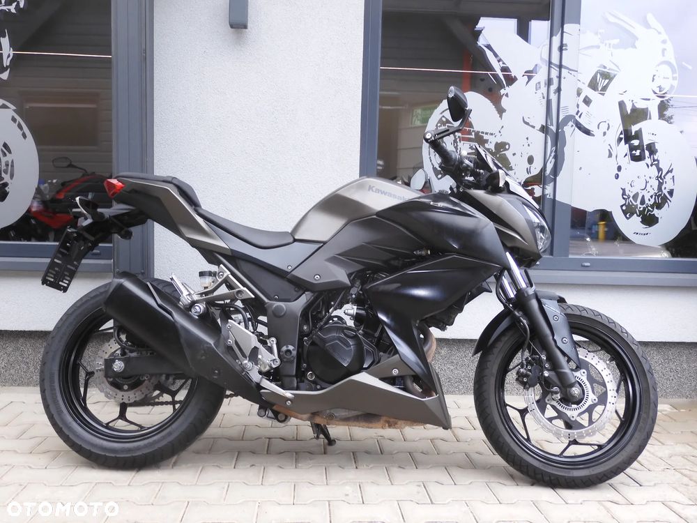 Kawasaki Z - 10