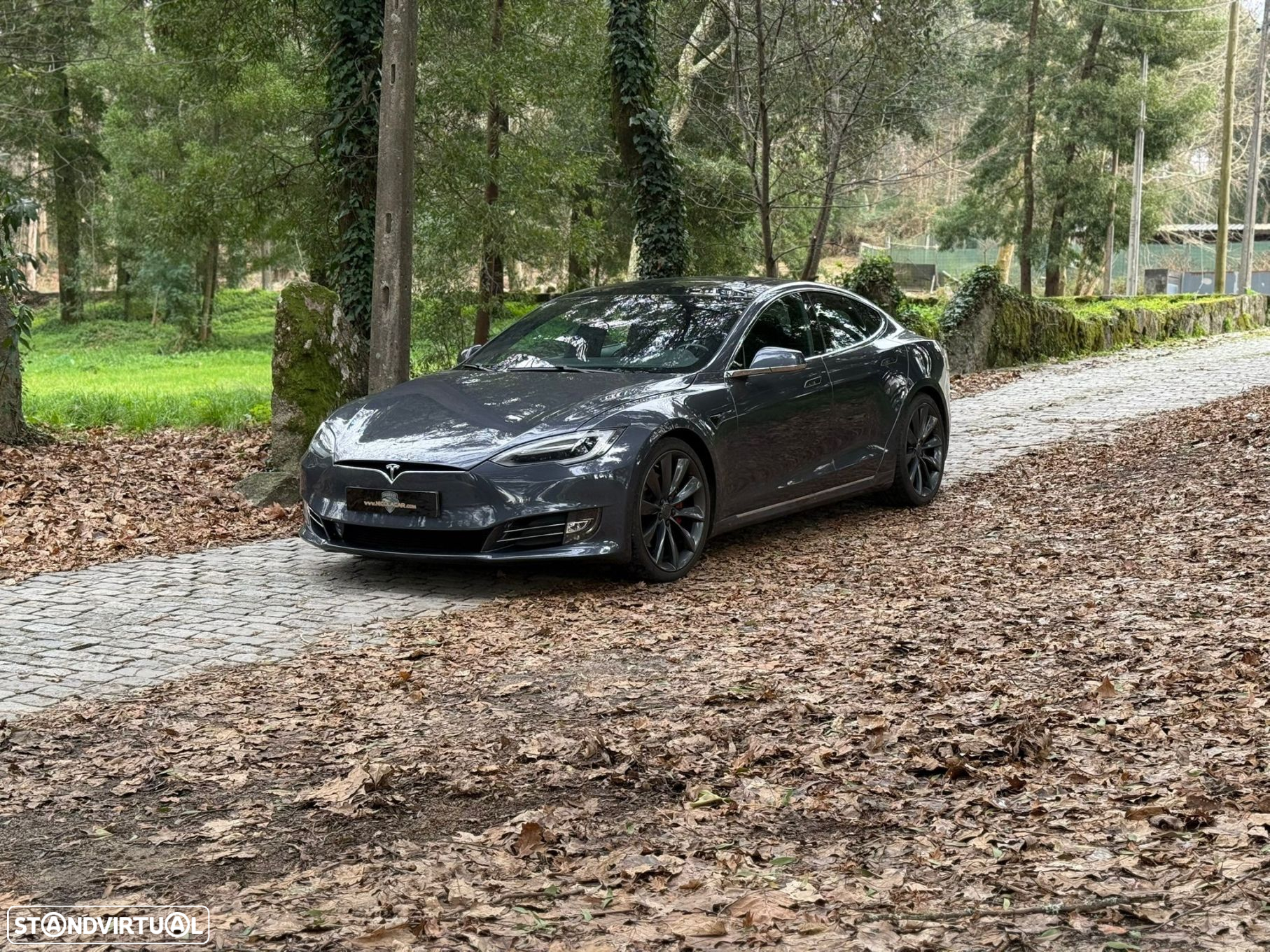 Tesla Model S 90D - 22