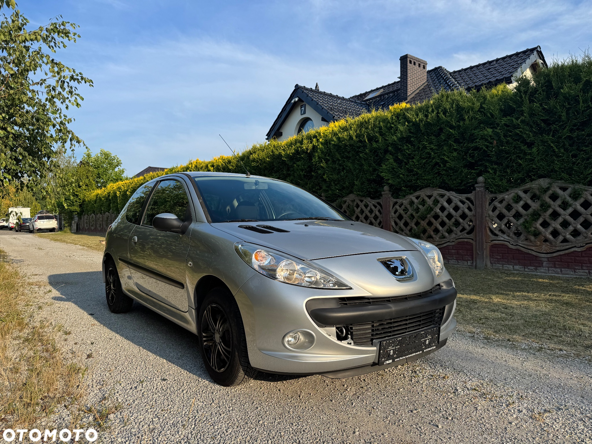 Peugeot 206 plus - 7