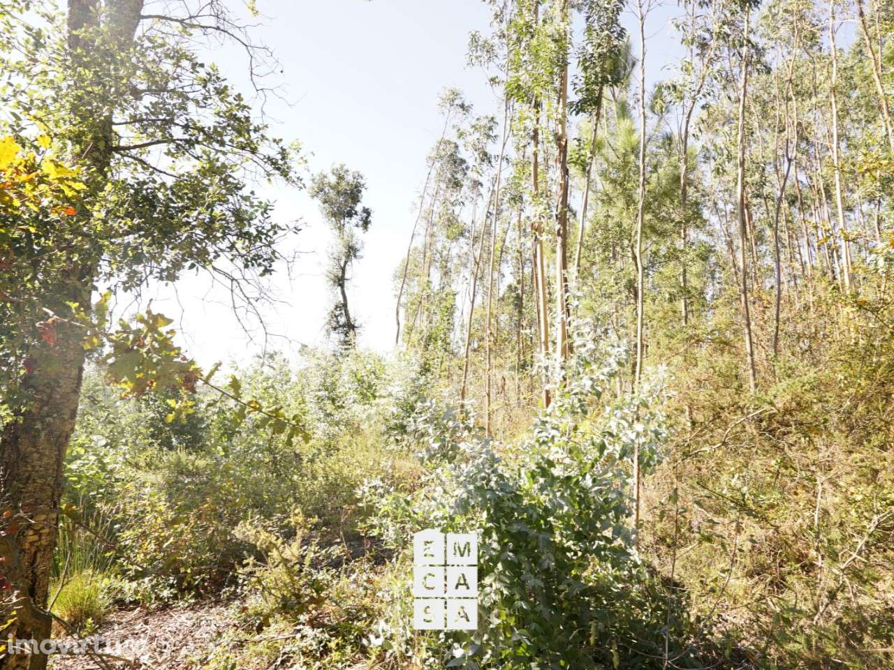Terreno  Venda em Oliveira de Azeméis, Santiago de Riba-Ul, Ul, Macinh - Grande imagem: 5/9
