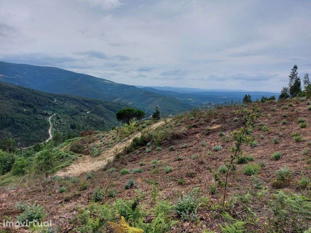 Venda Terreno - Grande imagem: 4/9