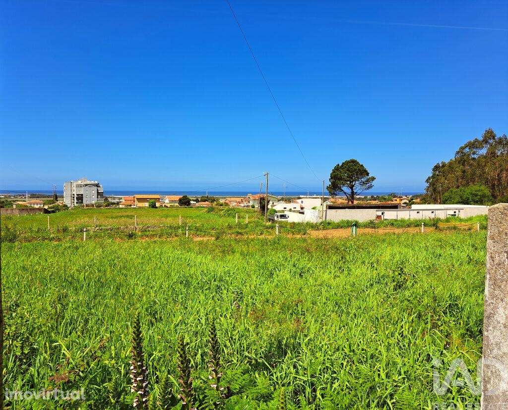 Terreno Agrícola em Esmoriz - Grande imagem: 3/5