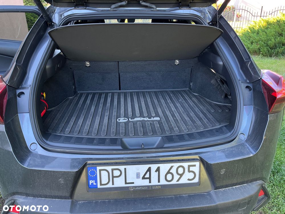 Lexus UX 250h GPF F Sport Design 2WD - 6