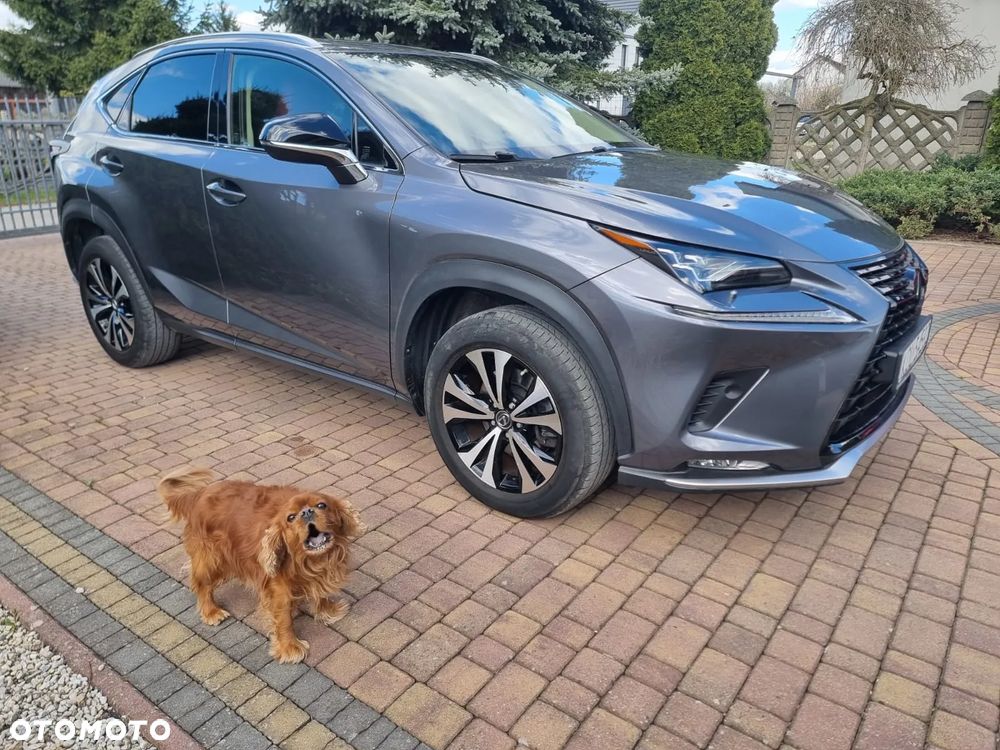 Lexus NX 300 F Impression AWD - 4