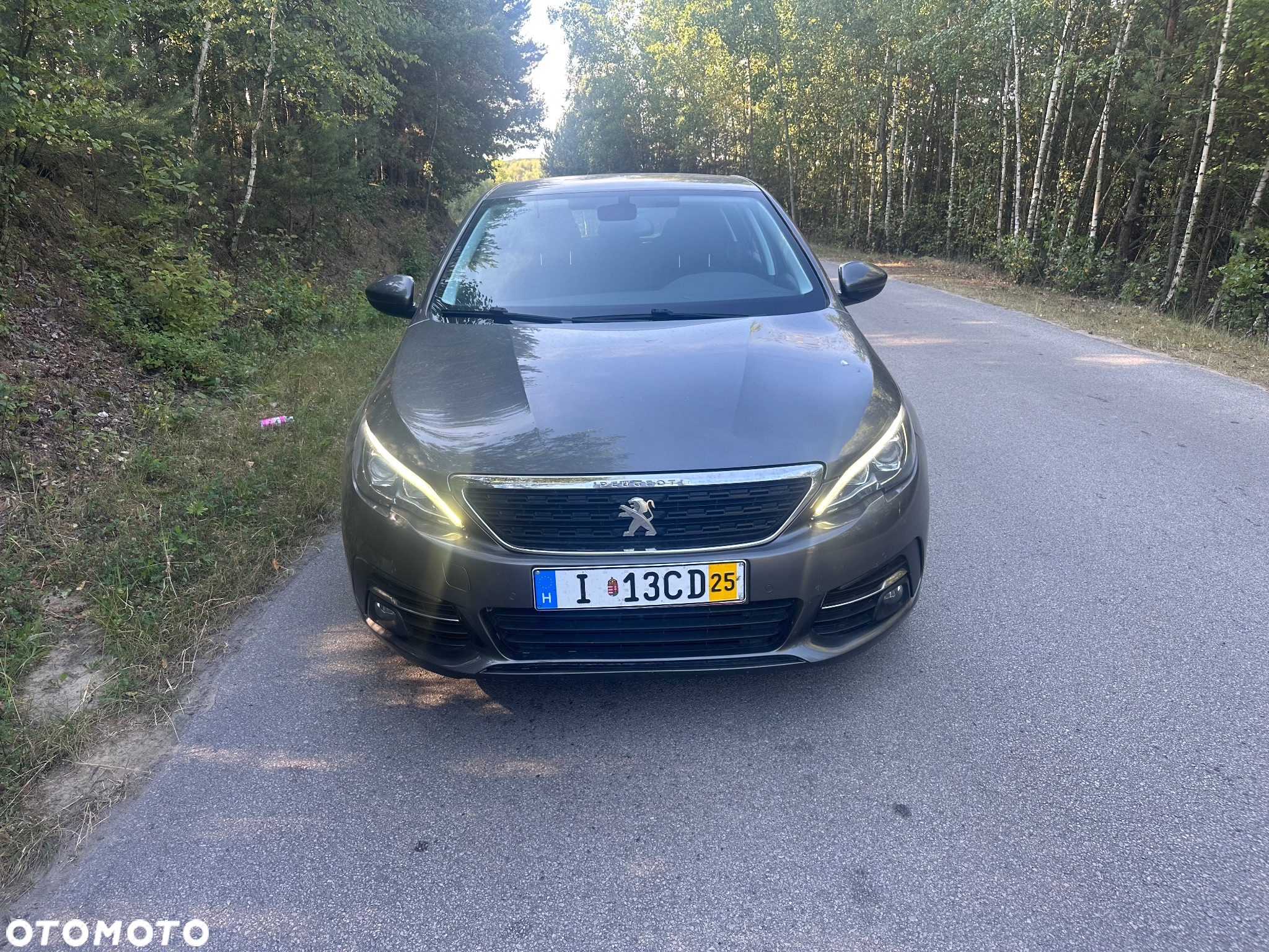 Peugeot 308 1.6 e-HDi Allure S&S - 2