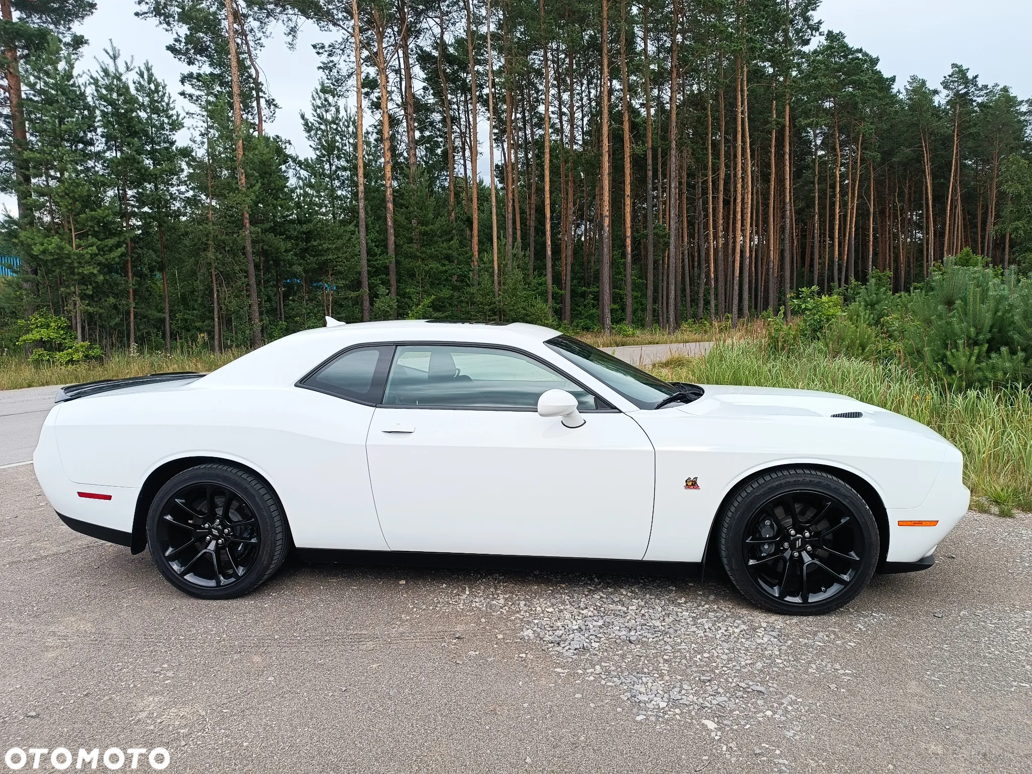 Dodge Challenger 6.4 Scat Pack - 6