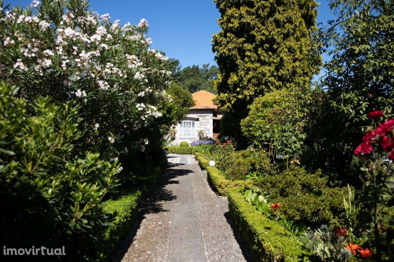 Quinta  T9+ com jardim no centro de Castro Daire - Grande imagem: 3/47