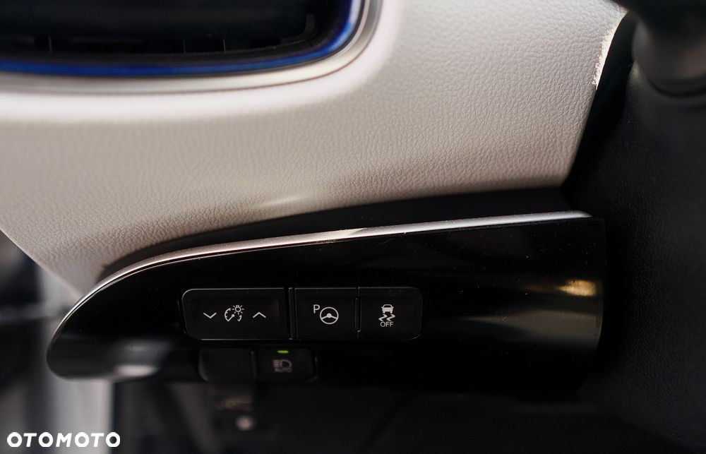 Toyota Prius (Hybrid) Executive - 19