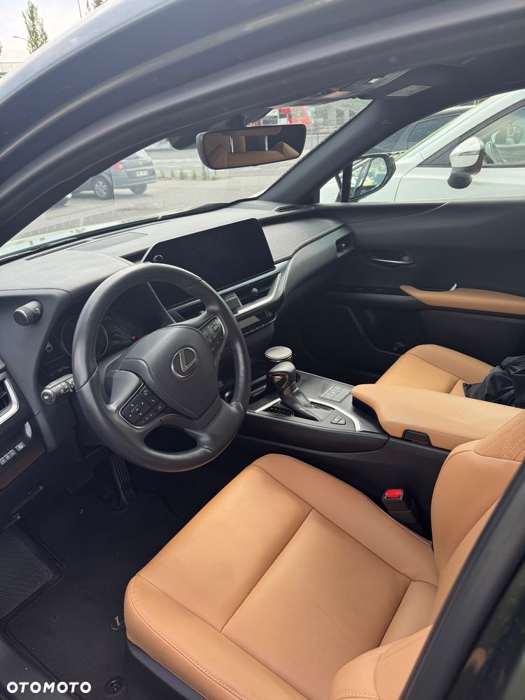 Lexus UX 250h F Sport 2WD - 16