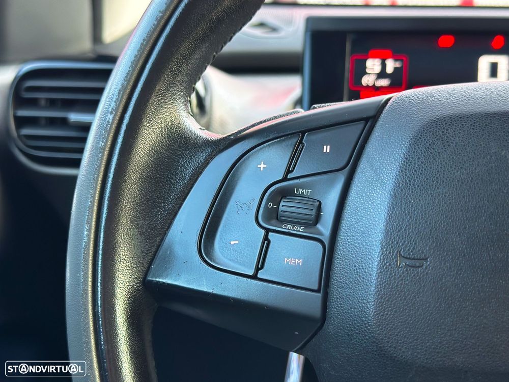 Citroën C4 Cactus 1.6 BlueHDi Rip Curl - 15