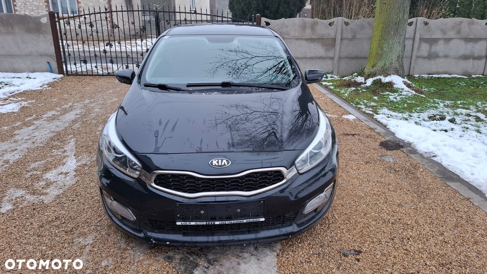 Kia ProCeed - 2