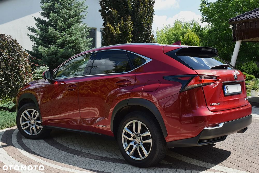 Lexus NX 300h Executive Line - 18