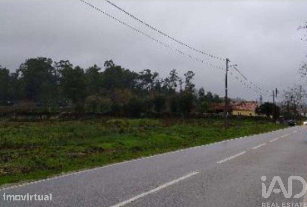 Terreno Agrícola em Canas de Santa Maria - Grande imagem: 4/4