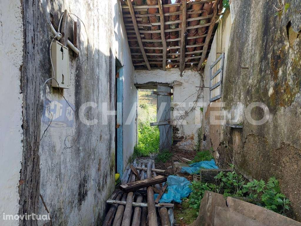 Casa antiga, anexos e terreno com 559 m2 para projeto de reconstrução - Grande imagem: 2/11