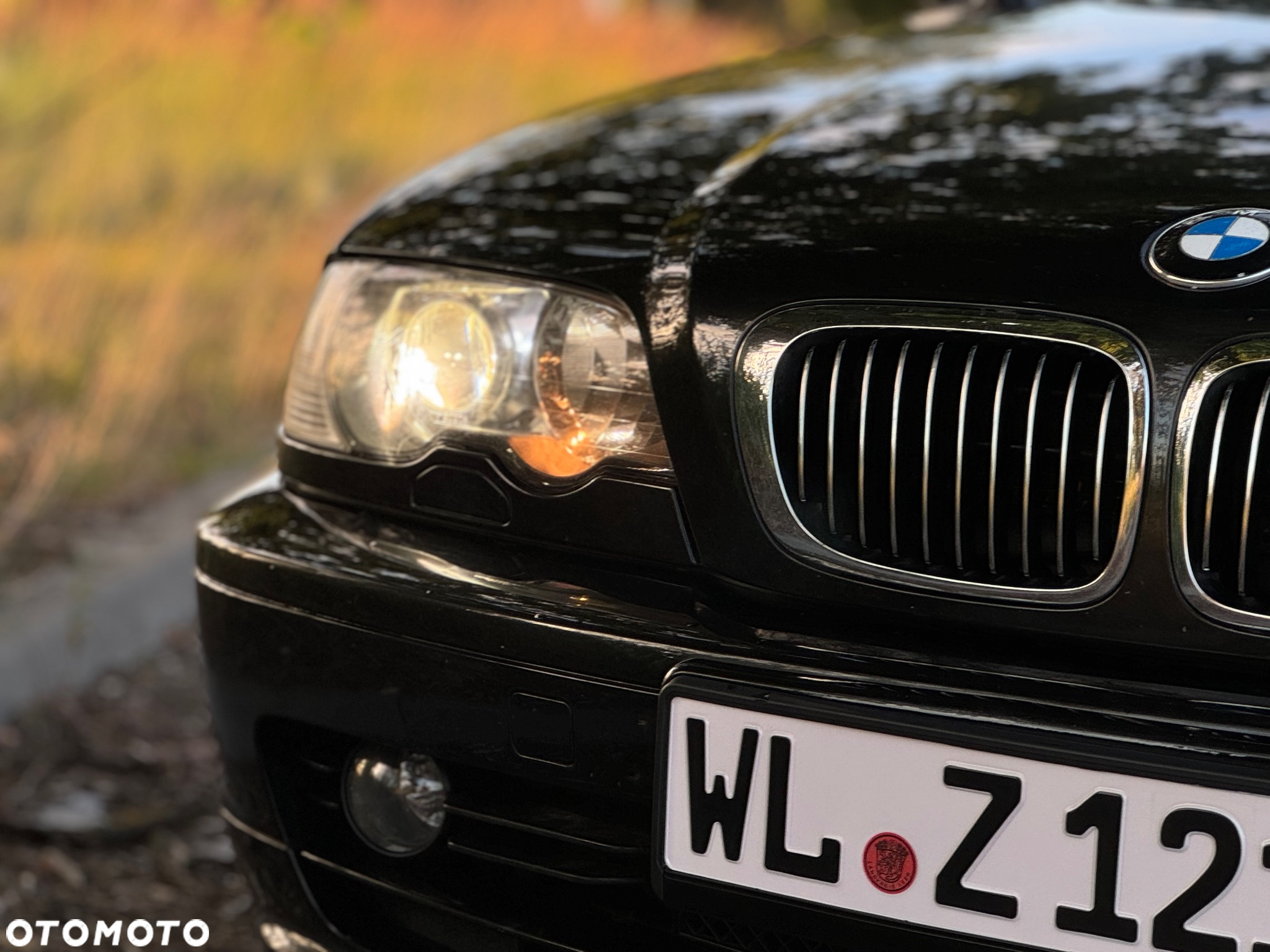 BMW Seria 3 318i Cabrio - 16