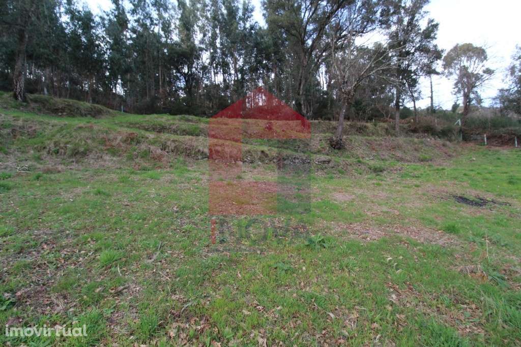 Terreno florestal, Duas Igrejas - Grande imagem: 3/7