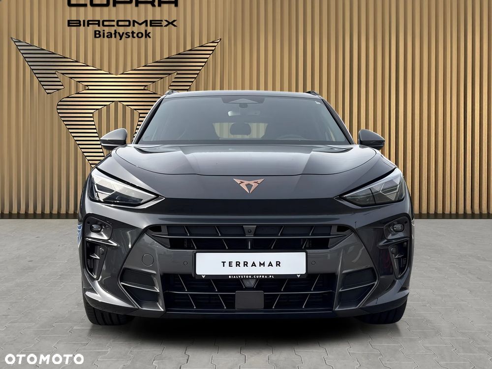 Cupra Terramar - 9