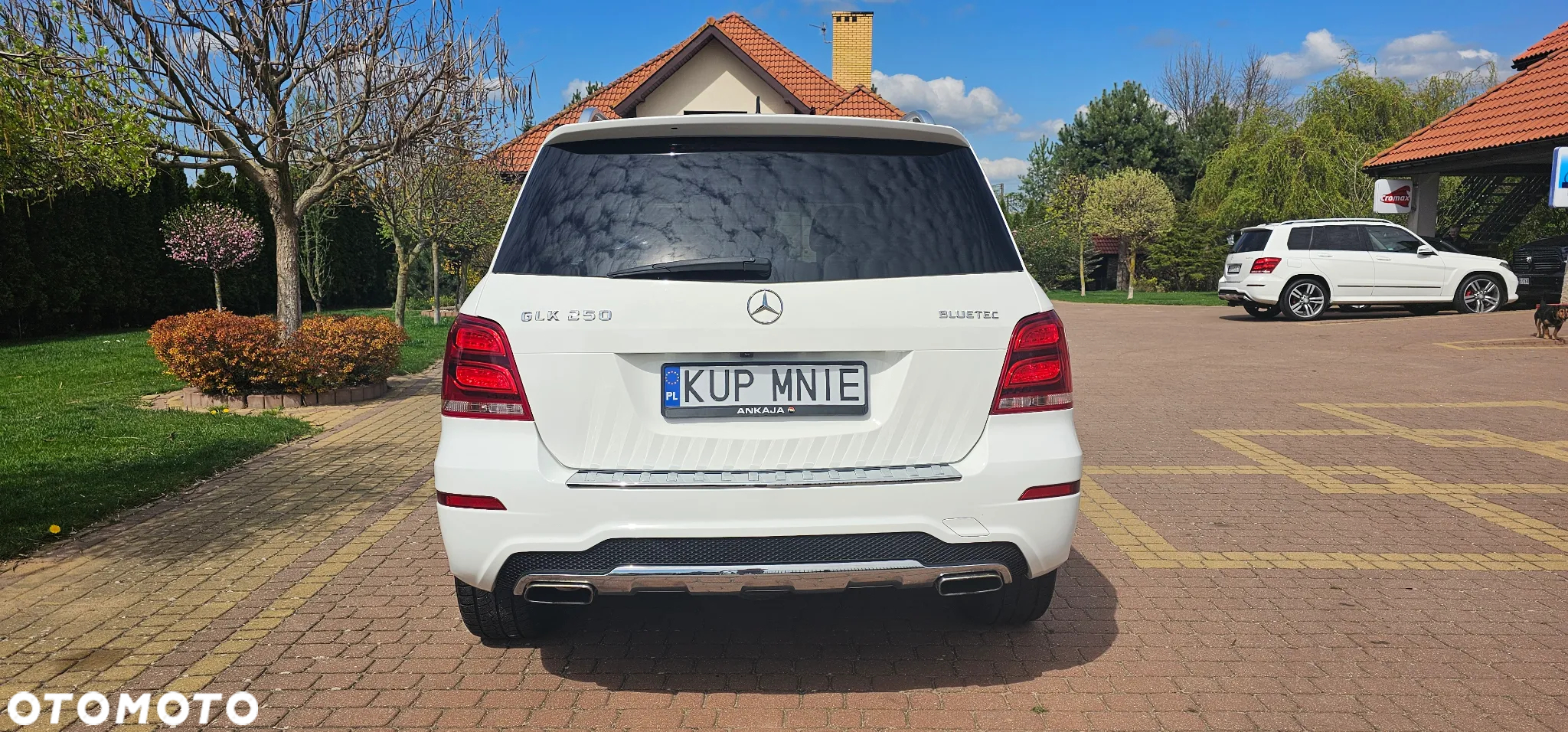 Mercedes-Benz GLK 250 CDI BlueTEC 4-Matic - 39