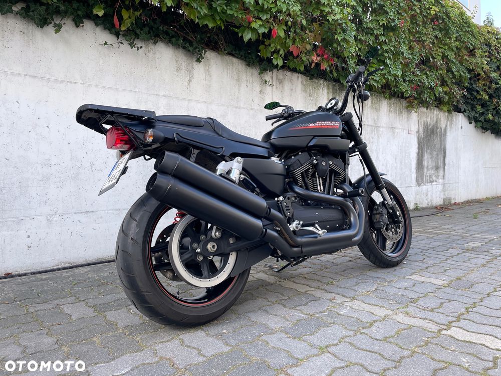 Harley-Davidson XR 1200 - 5