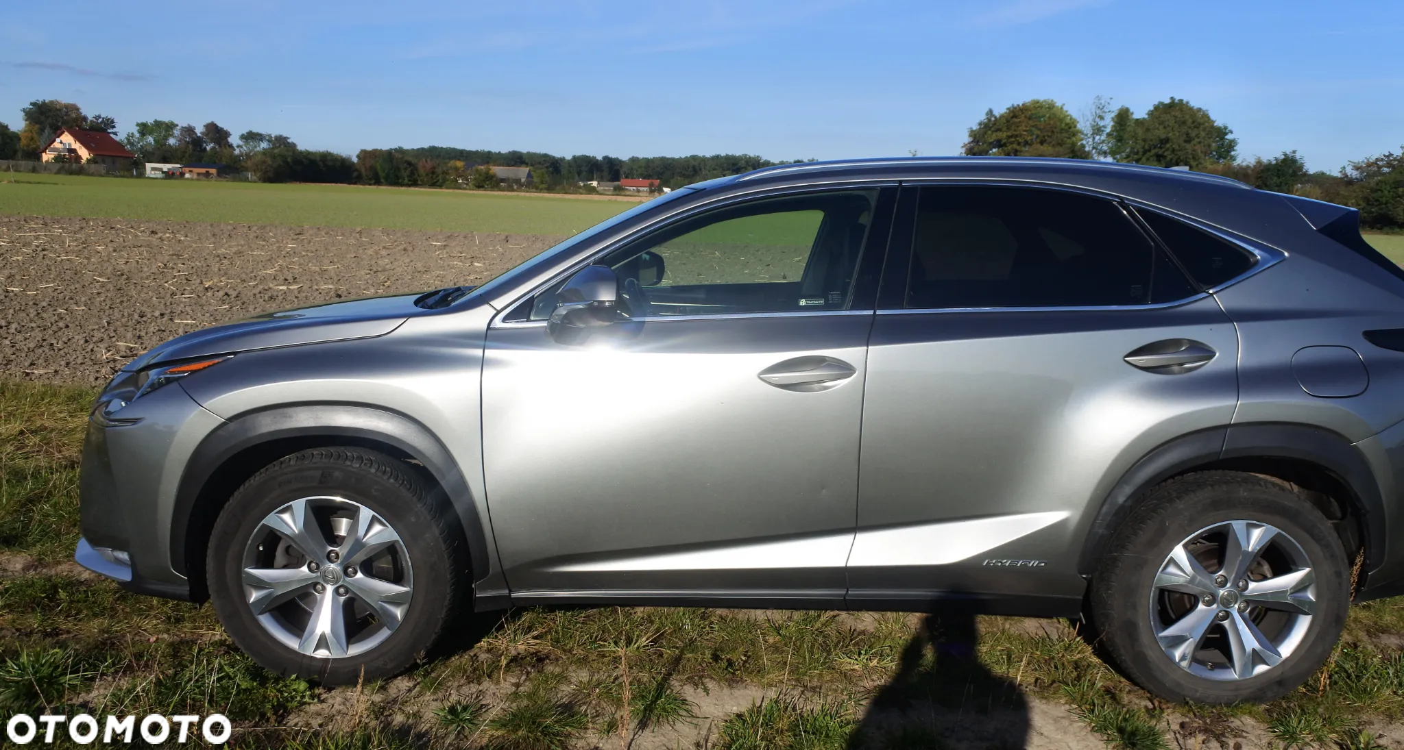 Lexus NX - 4