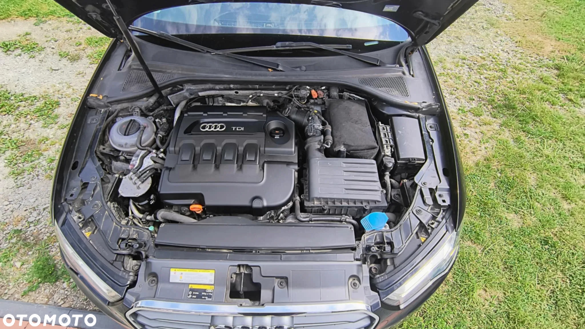 Audi A3 1.6 TDI Sportback DPF S tronic Ambition - 10