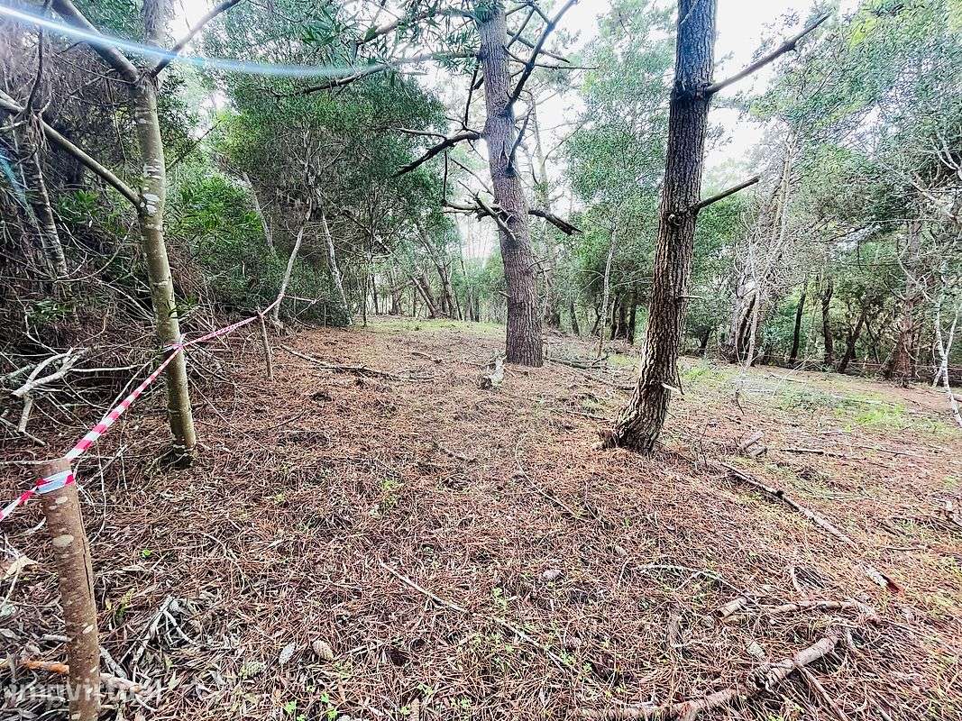 Terreno  para venda - Grande imagem: 3/6