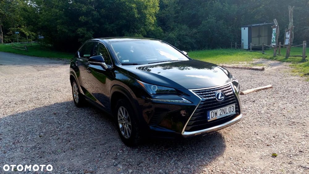 Lexus NX - 5