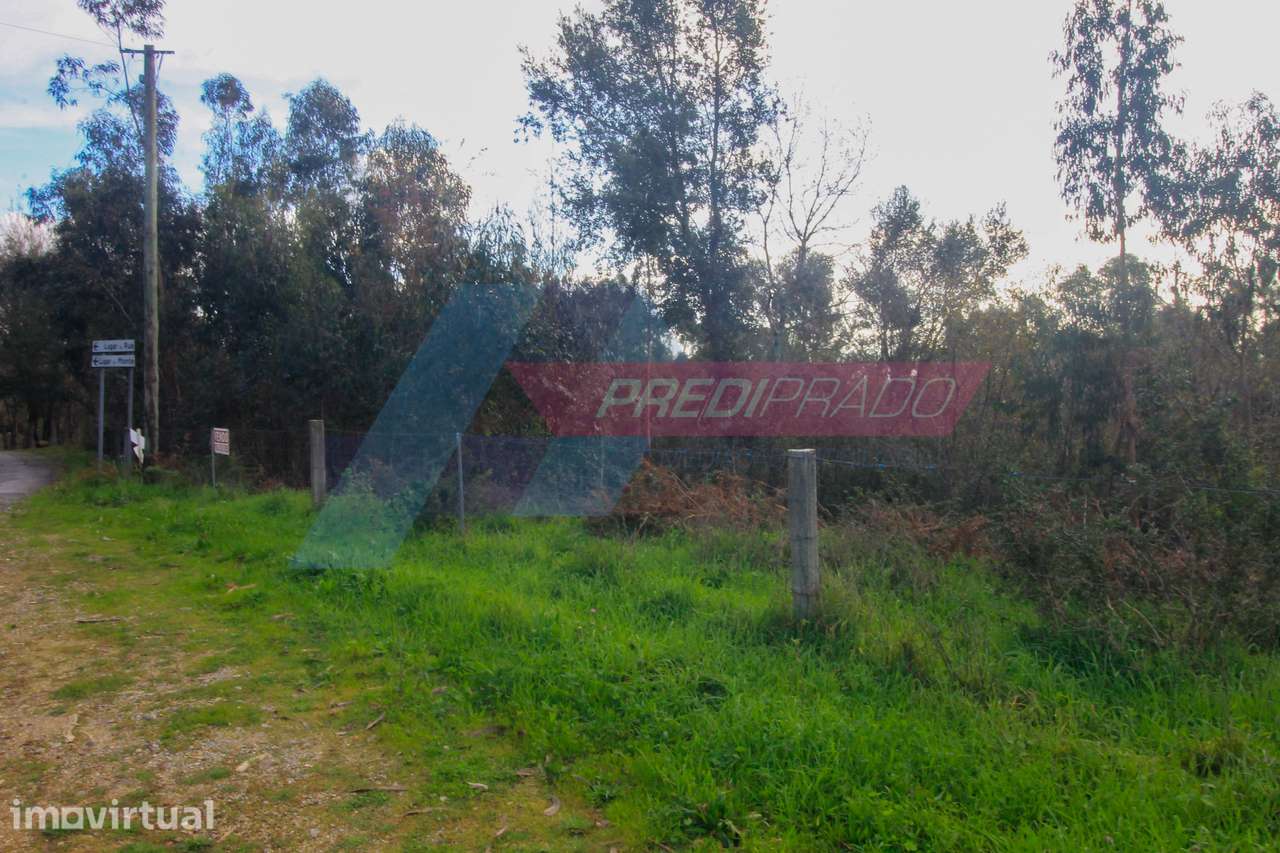 Terreno Florestal com 11822m2! - Grande imagem: 2/9