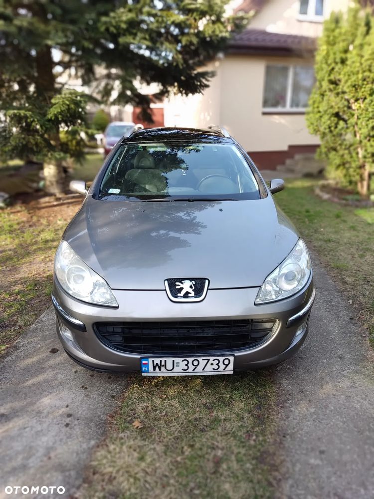 Peugeot 407 2.0 HDI ST Sport EU4 - 3