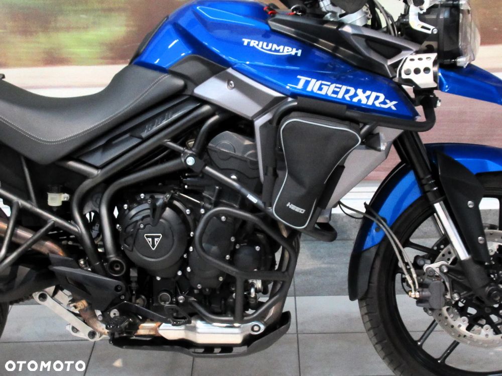 Triumph Tiger - 13