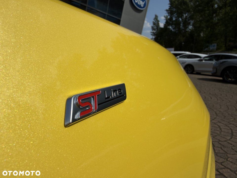Ford Puma - 9