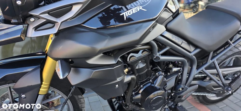 Triumph Tiger - 29