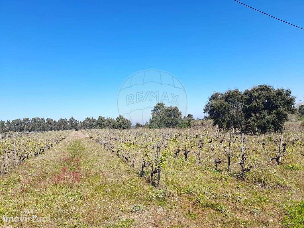 Terreno  para venda - Grande imagem: 3/6