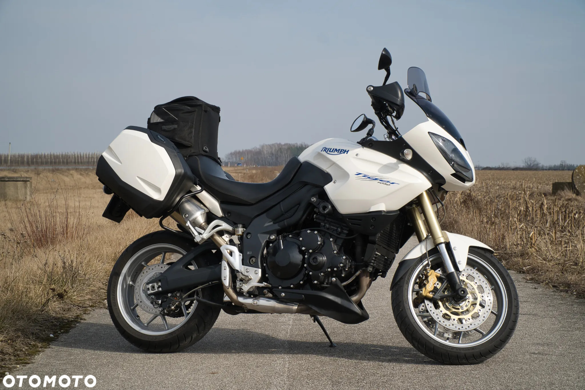 Triumph Tiger