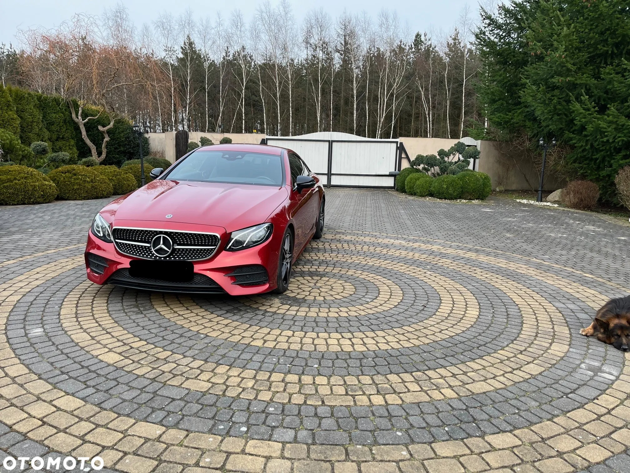 Mercedes-Benz Klasa E 200 Coupe 9G-TRONIC - 8