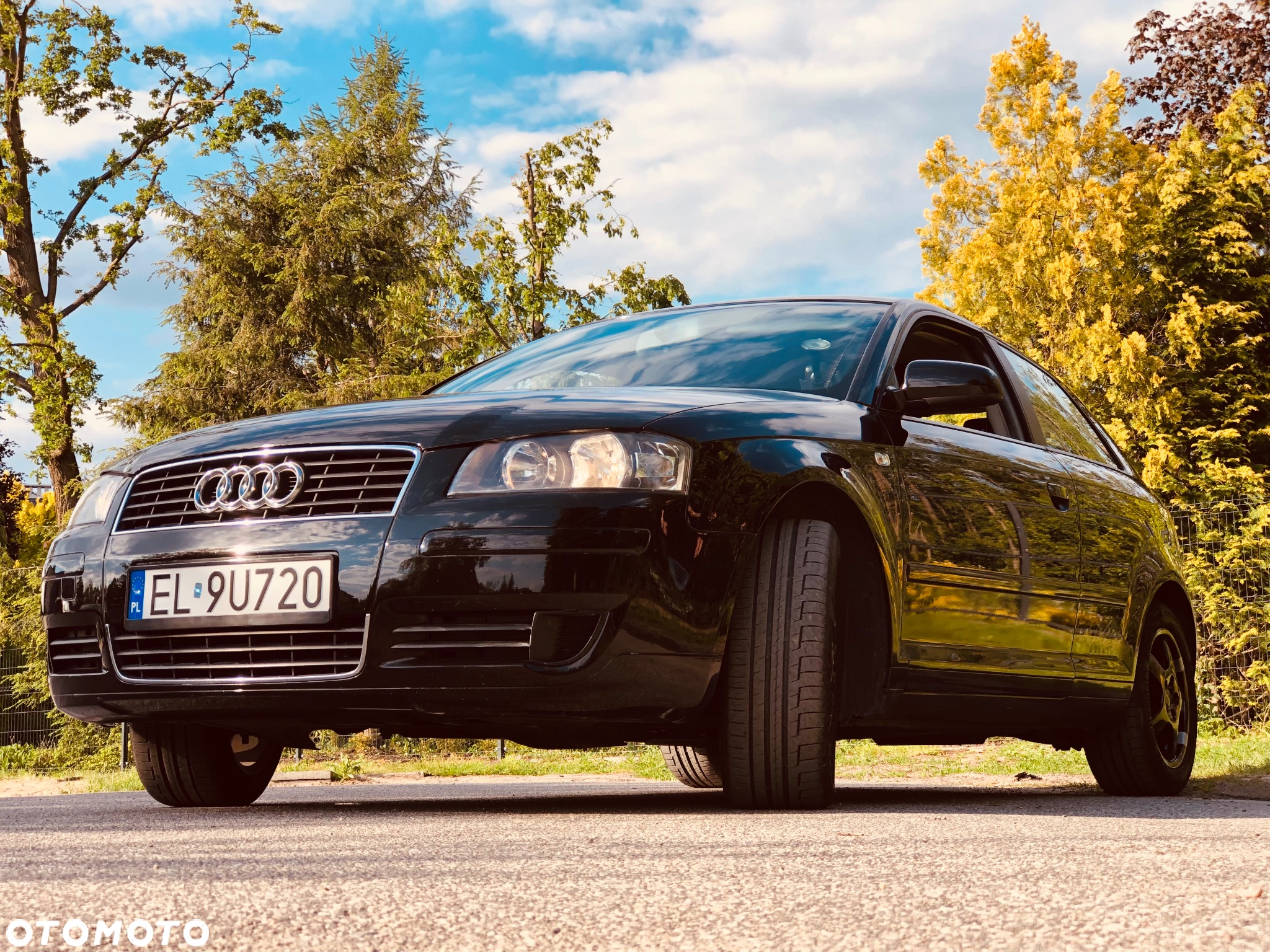 Audi A3 1.6 Ambition - 2