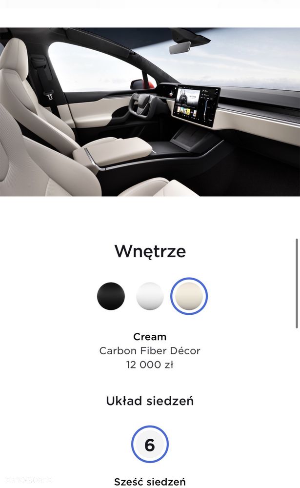 Tesla Model X - 37