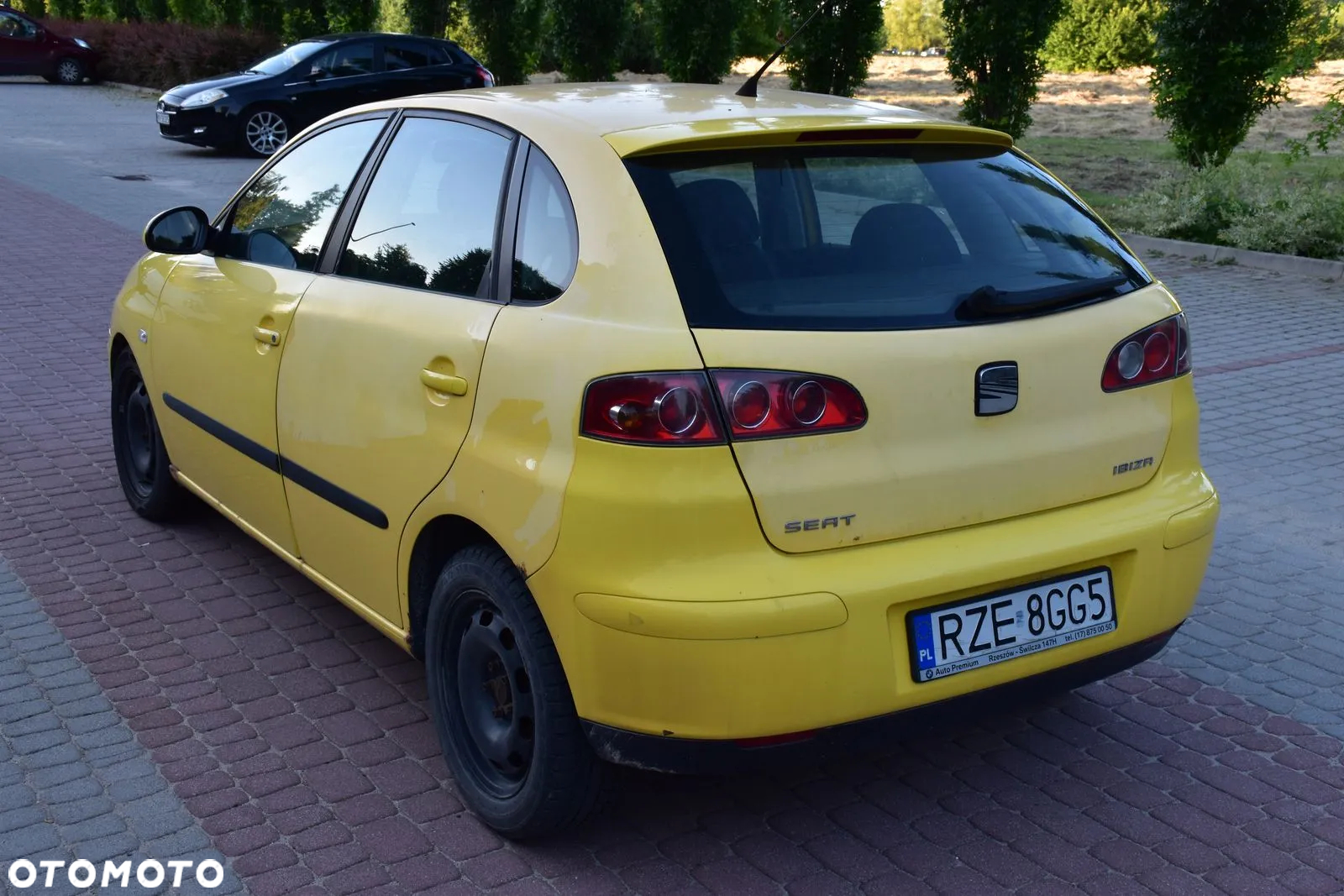Seat Ibiza 1.9 TDI Sport - 2